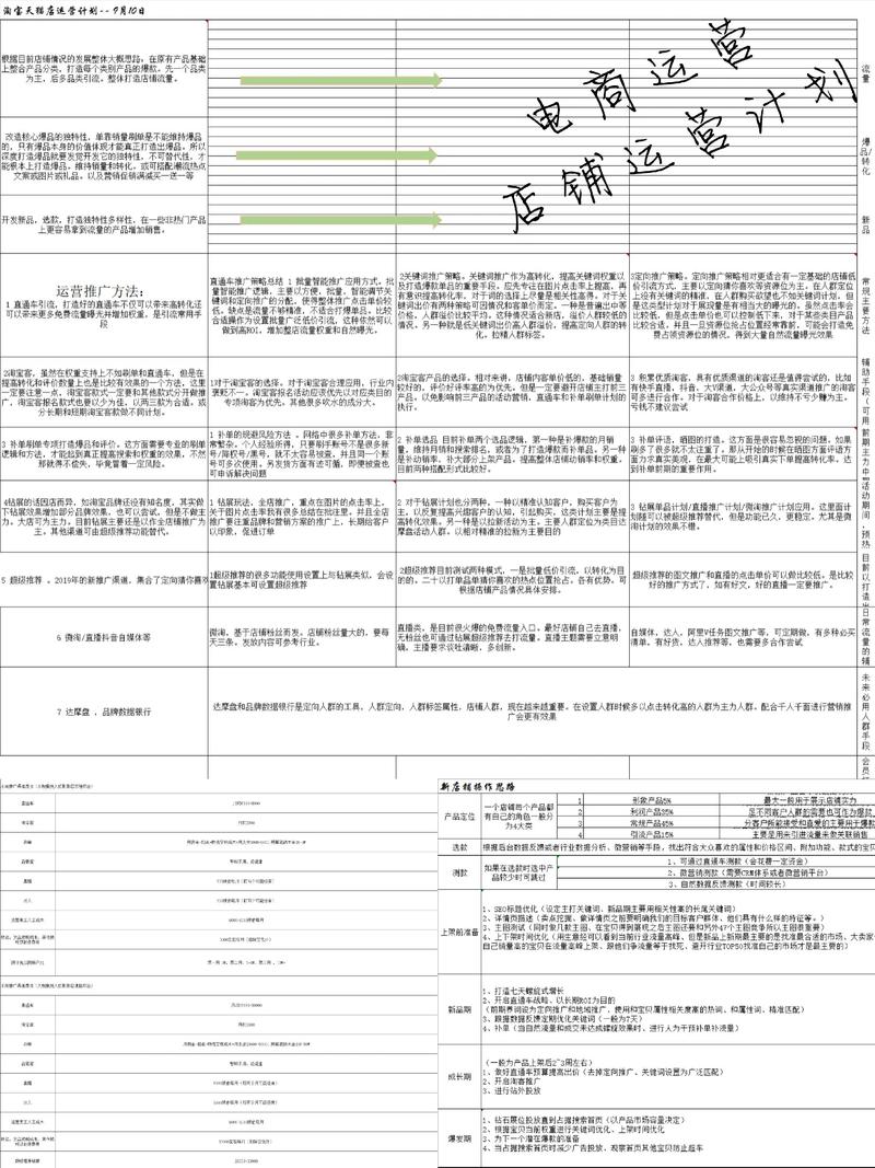 电商行业的风向标——企业电商服务